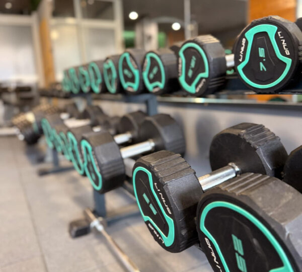 MOVE GYM